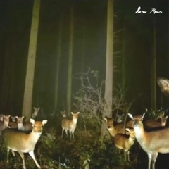 Low Roar  - Unreleased Album
