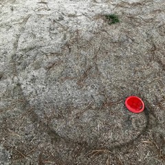 life can only be understood in reverse