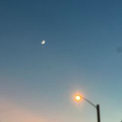 Season Three, Opening NIght