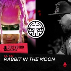 Dirtybird Radio 433 - Rabbit In The Moon