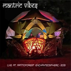 09. ForestSpheric Experience