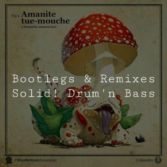 [RMX/VA] Solid! Upbeat D&B+ Bootlegs | Q7 (458)