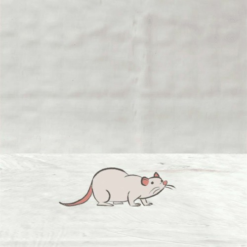 Euthanasia-Will wood