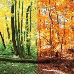 cusp of summer and autumn
