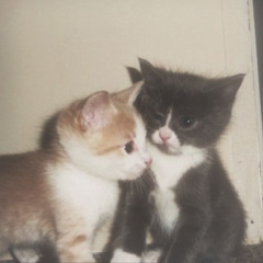 Ты и я!!! (prod. giperpanika)