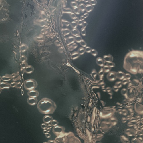 marucoporoporo - Cycle of Love