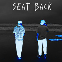Seat Back
