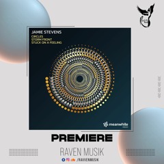 PREMIERE: Jamie Stevens - Storm Front (Original Mix) [Meanwhile]