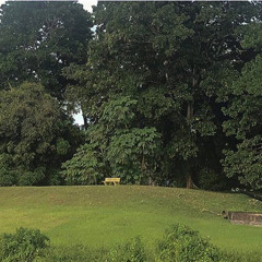 the bench (demo)