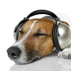 POV - Your Music Taste Is Elite