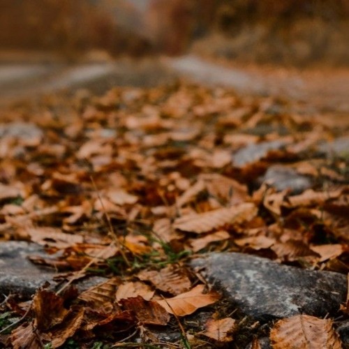 - حسن زیرک به دکتر دوا درمان (کردی و آذری) ریمیکس Hasan Zirak- Be doktor dawa darman-remix