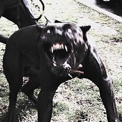 BARK 4 ME! (feat. LuvHexx)