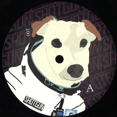 Premiere : Atree - Excitement From A Distance (SHTGN003)