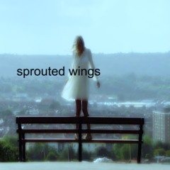 sprouted wings