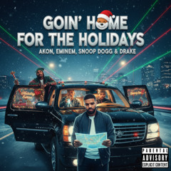 Goin' Home for the Holidays