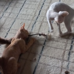 over and gone, never forgotten.