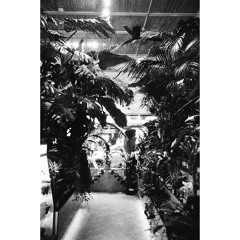 HILLS OF MUMBAI (Demo)