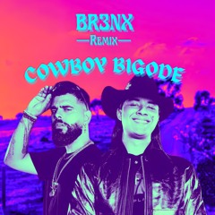 Barreto & Campo Grande, Us Agroboy - Cowboy Bigode (BR3NX Remix)