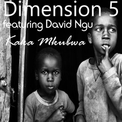 Dimension 5 feat David Ngu - Kaka Mkubwa