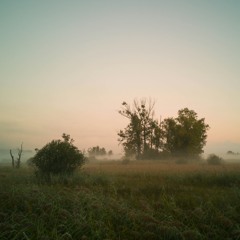 "La lumière sale du matin"
