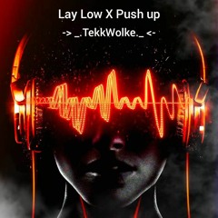 TeKkWoLkE - Lay Low X Push Up 🎼🔊 ...  _. [Tekknobootleg ✨🌕...] ._