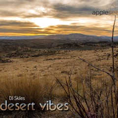 Desert Vibes