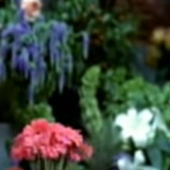 Macy gray i try (field recording remix)