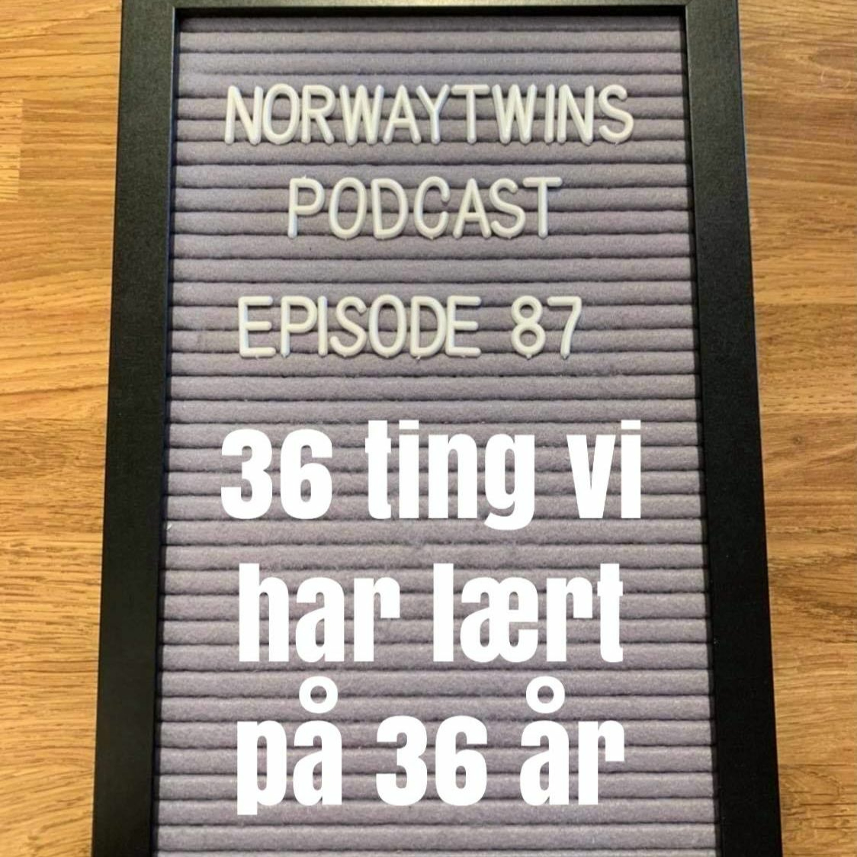 Norwaytwins om ting og tang