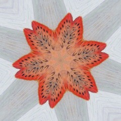 Actinomorph
