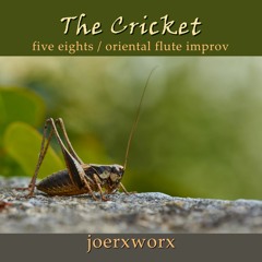 The Cricket // five eights oriental flute improv