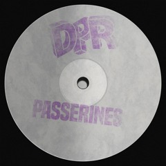 FREE DOWNLOAD: Passerines - With Targets [Dance Petrol Records]