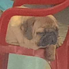Hold_You_2019_-_Thái_Hoàng.mp3