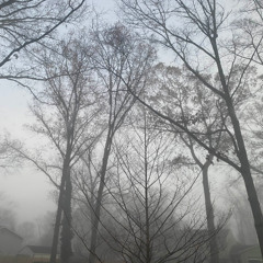 Effort (Prod.S!rius)