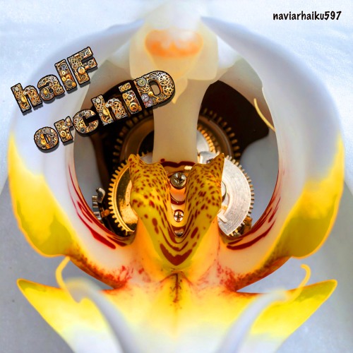 halF orchiD [naviarhaiku597]