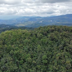 Avance REDD Huila Mayo 2023