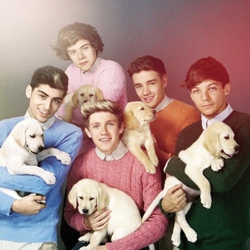 one direction & harry styles unreleased