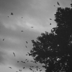 deathbeforefaith- "everything will be okay..."