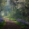 DJ SET Primavera Apr 2024 DJ mix artwork - Electronic music tracklist cover image