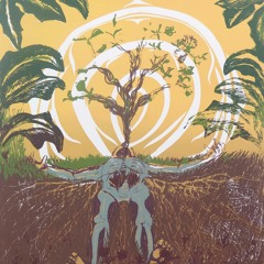 rebirth