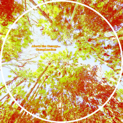 Above The Canopy