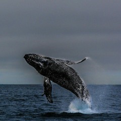 Вроде становишься старше