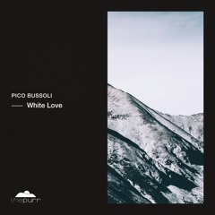 Pico Bussoli - Fade Away (Original Mix)