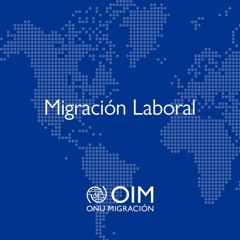 Tarjeta De Visitante Trabajador Fronterizo Guatemala (2)