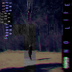 NO LIFE (feat. Smokey Sanchez, prod. Grant4ore)