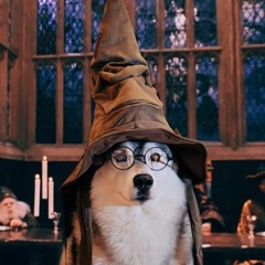 Hogwarts Misery