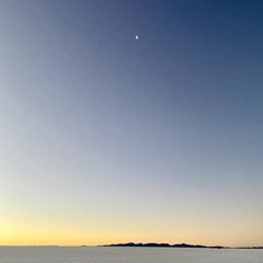 La danzante
