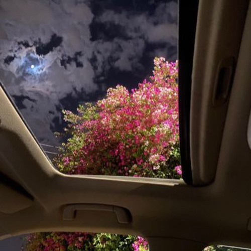 محتاج فرصة