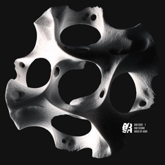 DUB STATE #1  [DUB TECHNO]