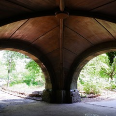 It's like the world is starting again