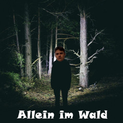 Allein im Wald🌳